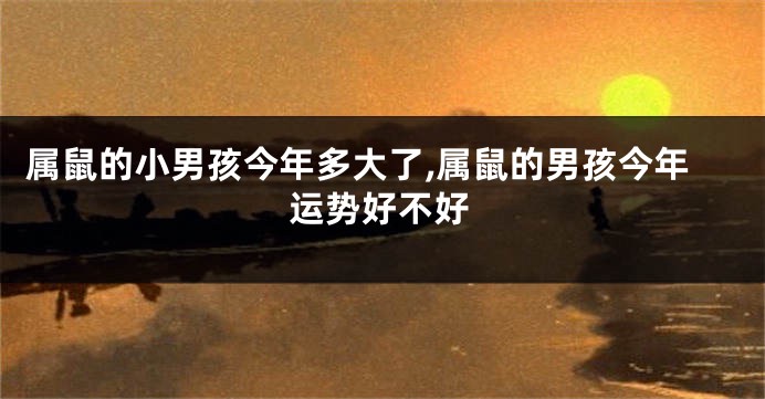 属鼠的小男孩今年多大了,属鼠的男孩今年运势好不好