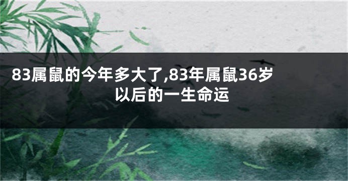 83属鼠的今年多大了,83年属鼠36岁以后的一生命运