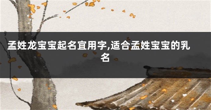 孟姓龙宝宝起名宜用字,适合孟姓宝宝的乳名