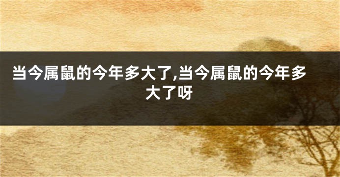 当今属鼠的今年多大了,当今属鼠的今年多大了呀