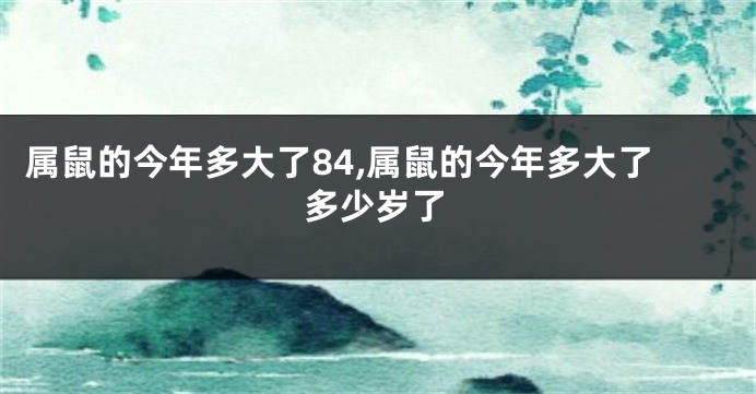 属鼠的今年多大了84,属鼠的今年多大了多少岁了