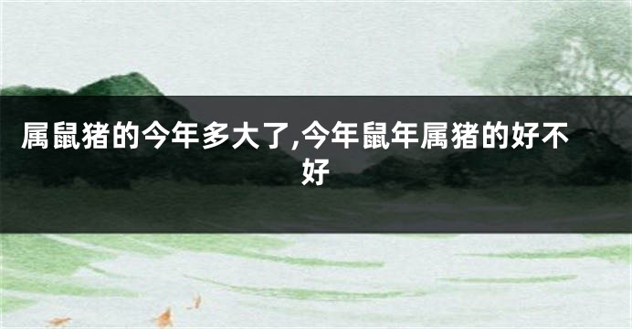 属鼠猪的今年多大了,今年鼠年属猪的好不好