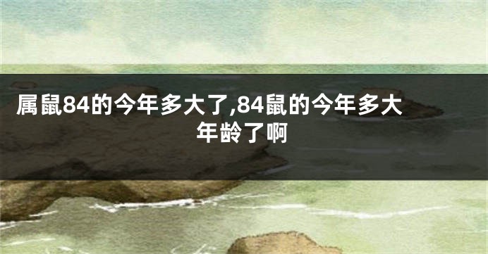 属鼠84的今年多大了,84鼠的今年多大年龄了啊