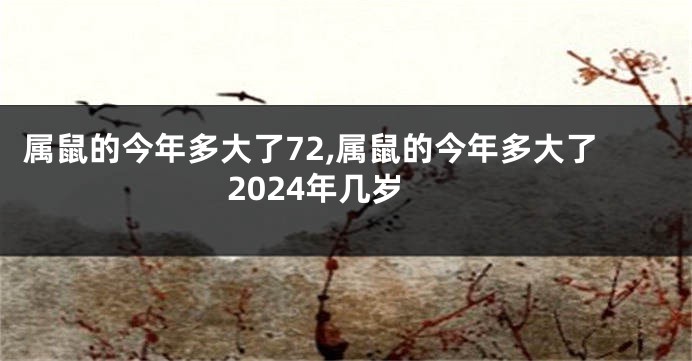 属鼠的今年多大了72,属鼠的今年多大了2024年几岁