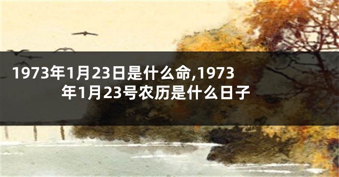 1973年1月23日是什么命,1973年1月23号农历是什么日子
