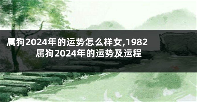 属狗2024年的运势怎么样女,1982属狗2024年的运势及运程