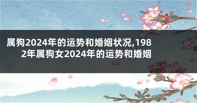 属狗2024年的运势和婚姻状况,1982年属狗女2024年的运势和婚姻