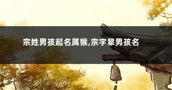 宗姓男孩起名属猴,宗字辈男孩名