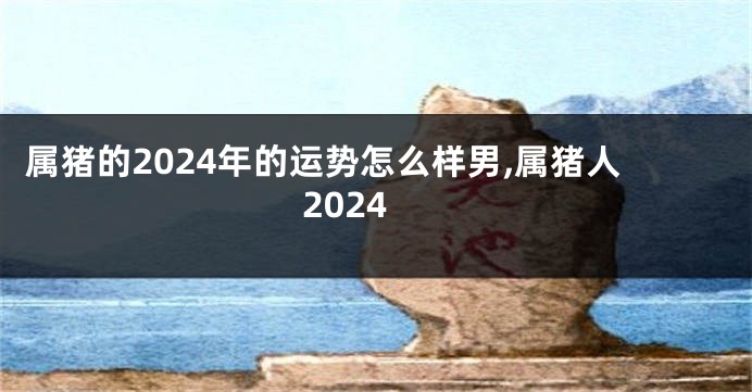 属猪的2024年的运势怎么样男,属猪人2024