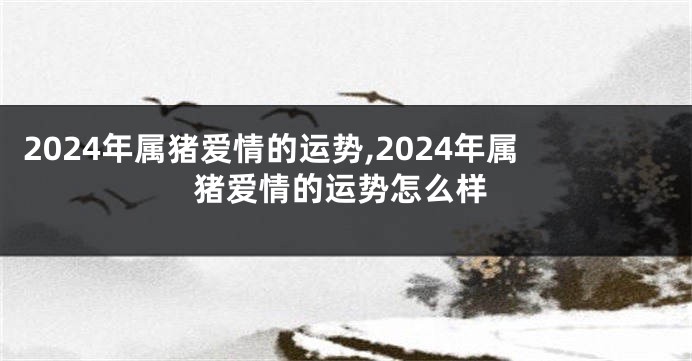 2024年属猪爱情的运势,2024年属猪爱情的运势怎么样