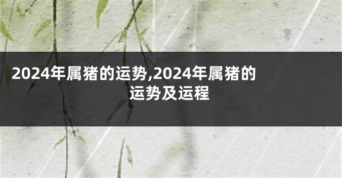 2024年属猪的运势,2024年属猪的运势及运程