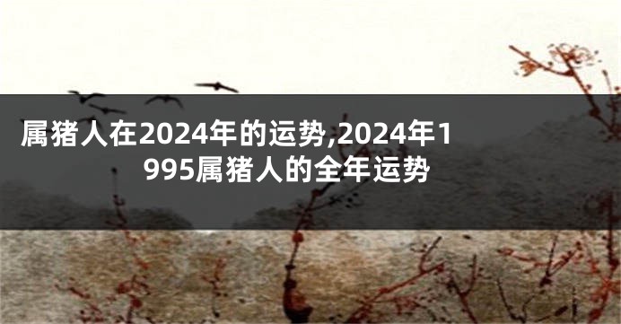 属猪人在2024年的运势,2024年1995属猪人的全年运势