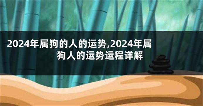 2024年属狗的人的运势,2024年属狗人的运势运程详解