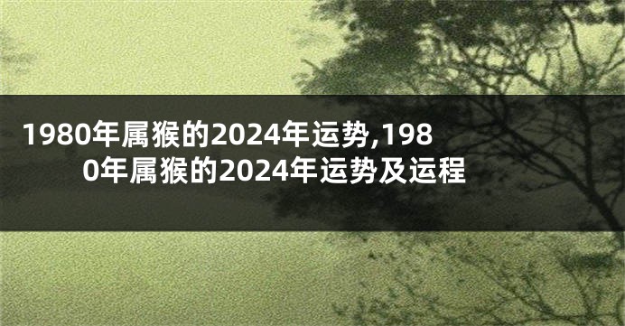 1980年属猴的2024年运势,1980年属猴的2024年运势及运程