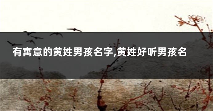 有寓意的黄姓男孩名字,黄姓好听男孩名