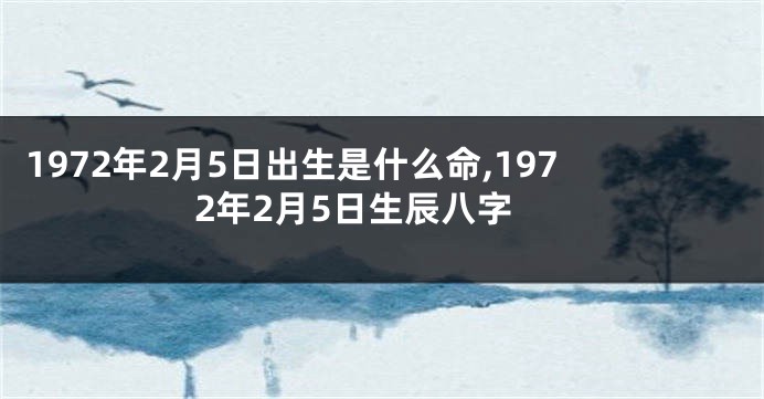 1972年2月5日出生是什么命,1972年2月5日生辰八字