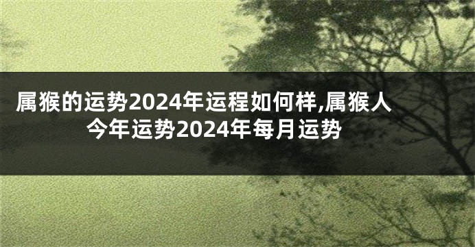 属猴的运势2024年运程如何样,属猴人今年运势2024年每月运势