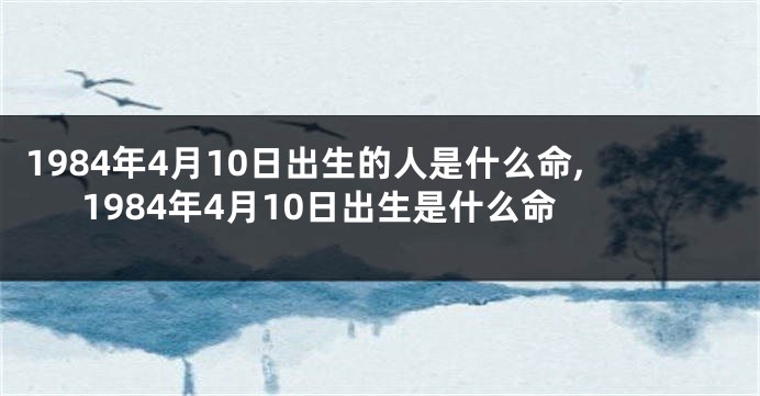 1984年4月10日出生的人是什么命,1984年4月10日出生是什么命