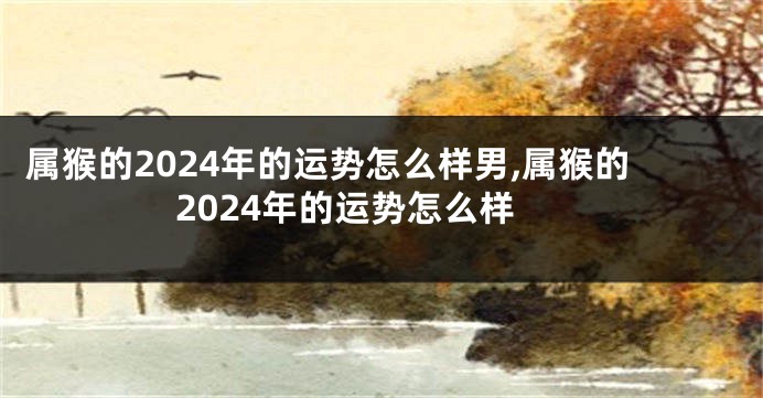 属猴的2024年的运势怎么样男,属猴的2024年的运势怎么样