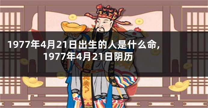 1977年4月21日出生的人是什么命,1977年4月21日阴历