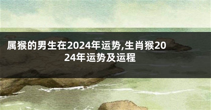 属猴的男生在2024年运势,生肖猴2024年运势及运程