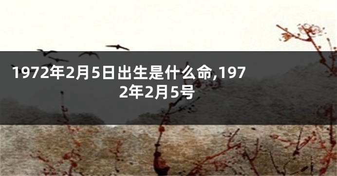 1972年2月5日出生是什么命,1972年2月5号