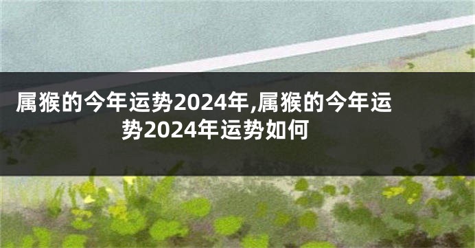 属猴的今年运势2024年,属猴的今年运势2024年运势如何