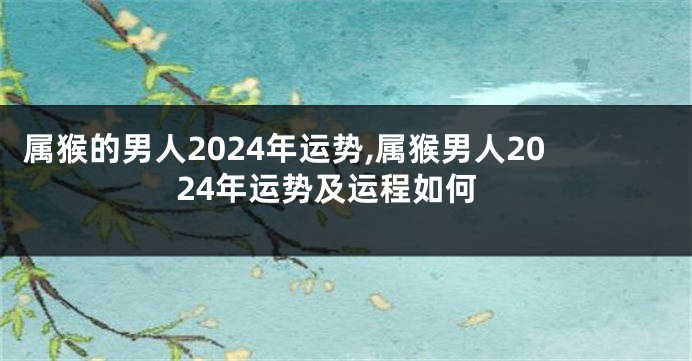 属猴的男人2024年运势,属猴男人2024年运势及运程如何