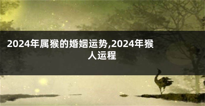 2024年属猴的婚姻运势,2024年猴人运程