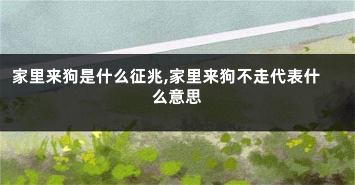 家里来狗是什么征兆,家里来狗不走代表什么意思
