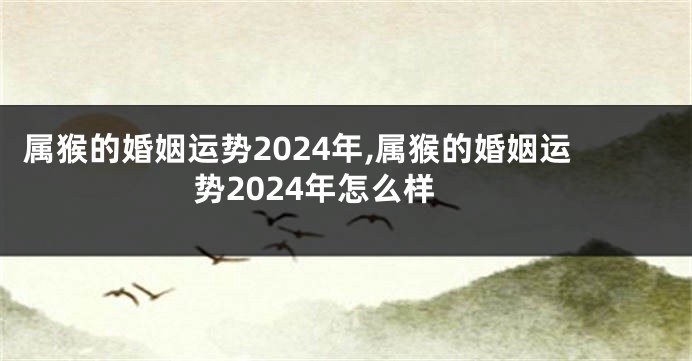 属猴的婚姻运势2024年,属猴的婚姻运势2024年怎么样