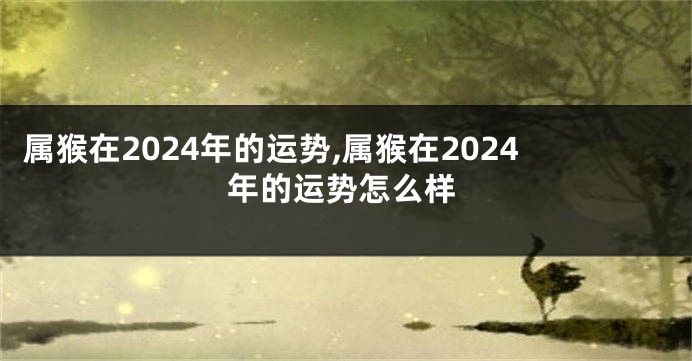 属猴在2024年的运势,属猴在2024年的运势怎么样