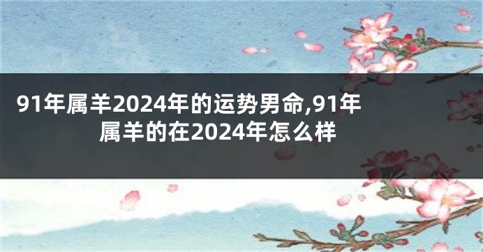 91年属羊2024年的运势男命,91年属羊的在2024年怎么样