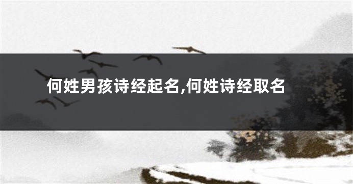 何姓男孩诗经起名,何姓诗经取名