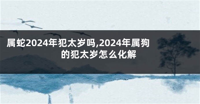 属蛇2024年犯太岁吗,2024年属狗的犯太岁怎么化解
