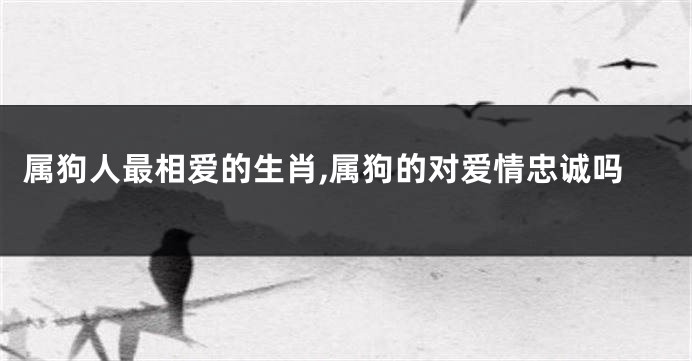 属狗人最相爱的生肖,属狗的对爱情忠诚吗