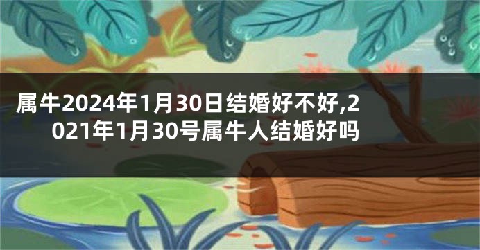 属牛2024年1月30日结婚好不好,2021年1月30号属牛人结婚好吗