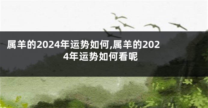 属羊的2024年运势如何,属羊的2024年运势如何看呢