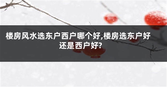楼房风水选东户西户哪个好,楼房选东户好还是西户好?