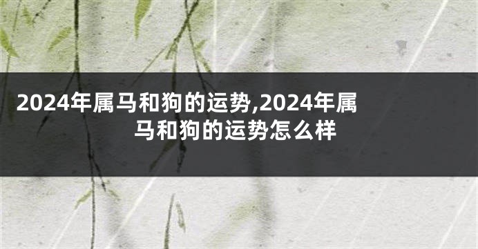 2024年属马和狗的运势,2024年属马和狗的运势怎么样