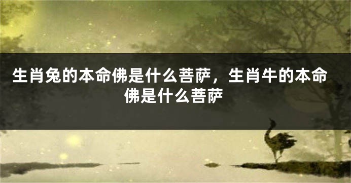 生肖兔的本命佛是什么菩萨，生肖牛的本命佛是什么菩萨