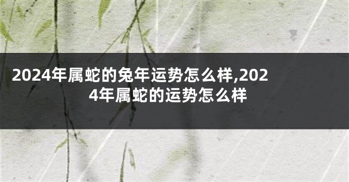 2024年属蛇的兔年运势怎么样,2024年属蛇的运势怎么样