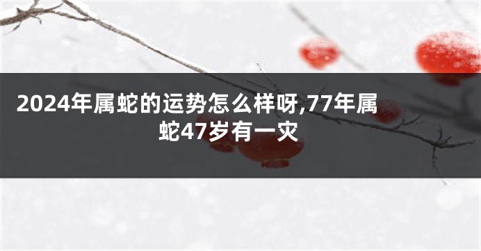 2024年属蛇的运势怎么样呀,77年属蛇47岁有一灾