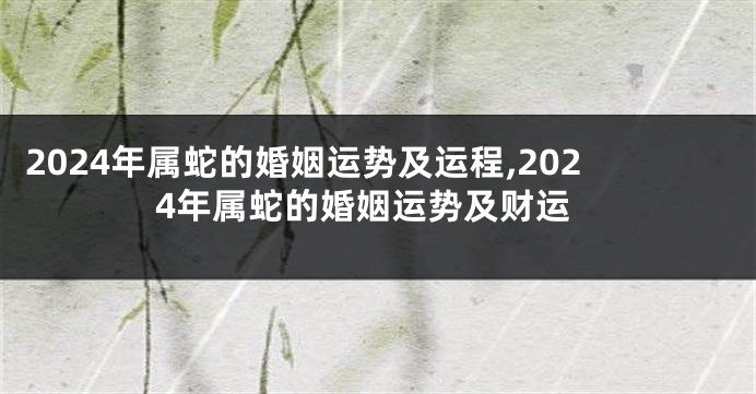 2024年属蛇的婚姻运势及运程,2024年属蛇的婚姻运势及财运