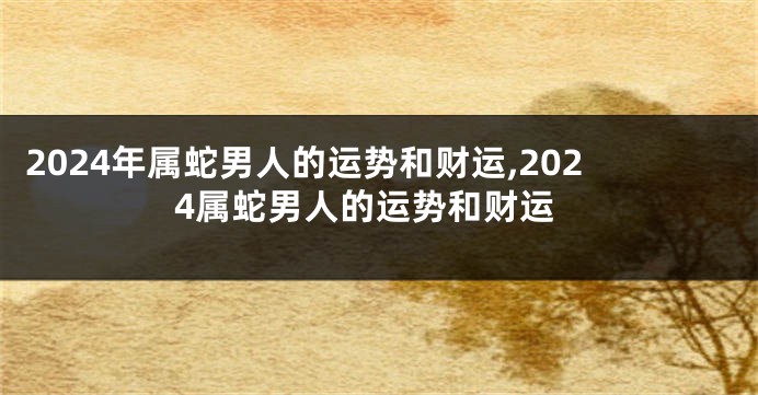 2024年属蛇男人的运势和财运,2024属蛇男人的运势和财运