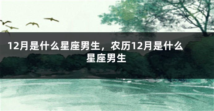 12月是什么星座男生，农历12月是什么星座男生