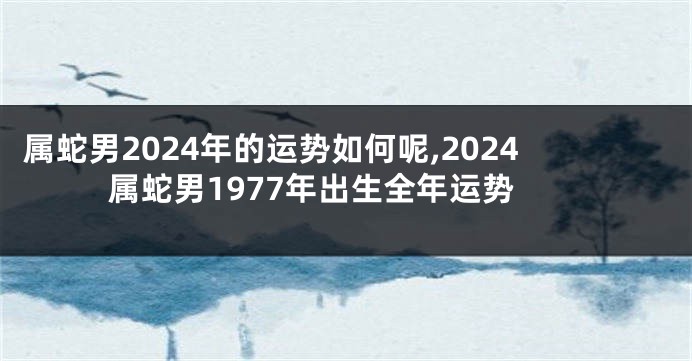 属蛇男2024年的运势如何呢,2024属蛇男1977年出生全年运势