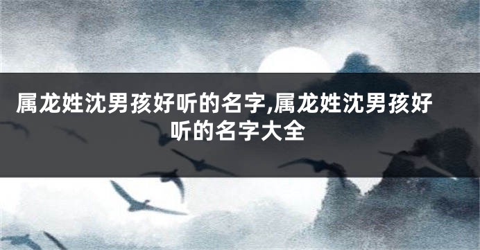 属龙姓沈男孩好听的名字,属龙姓沈男孩好听的名字大全