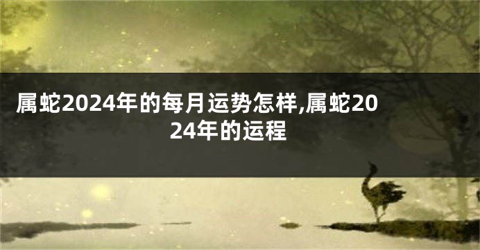 属蛇2024年的每月运势怎样,属蛇2024年的运程