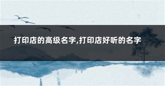 打印店的高级名字,打印店好听的名字